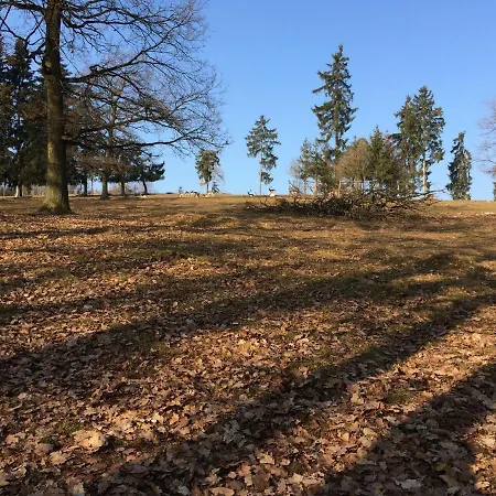 Spacious In Neukirchen With Forest Near * Neukirchen (Waldeck-Frankenberg)